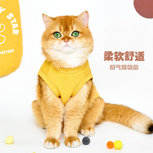 御膳爷猫狗通用可爱背心