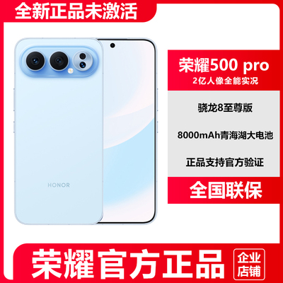 荣耀500pro8000mAh青海湖大电池