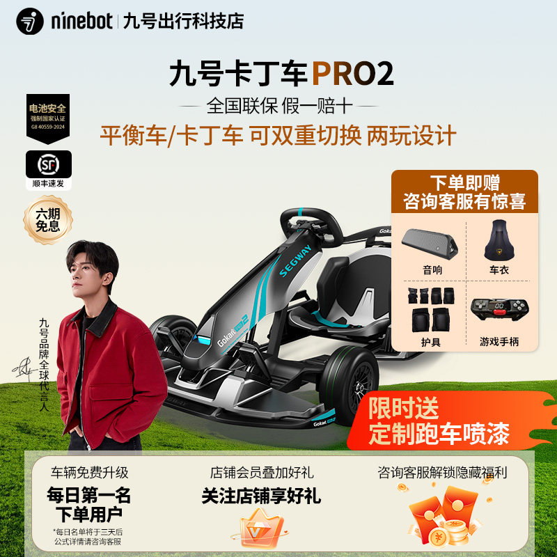 【送跑车烤漆】九号卡丁车Pro2图片
