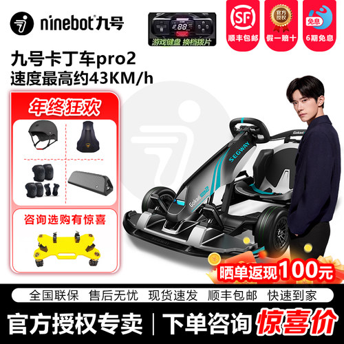 Ninebot九号卡丁车PRO2平衡车改装儿童成年飘移电动智能车卡丁车