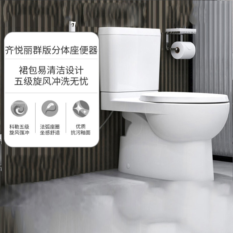 科勒瑞琦虹吸式分体坐便器