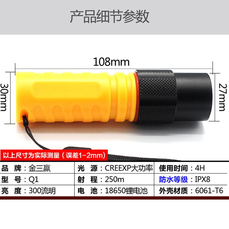 金三赢Q1迷你专强光潜水电筒可充电防水LED远Q1B手射户业外登骑行