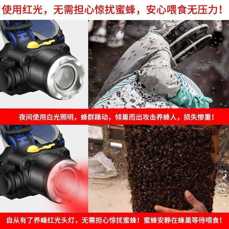 养头灯专用红光查红蜂取蜜收蜂蜂晚上查头戴式手电筒V53-D白蜂双