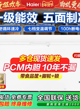 海尔冰柜BC/BD-429GHP商用大容量冷冻柜卧式速冻冷柜急冻海鲜冰箱