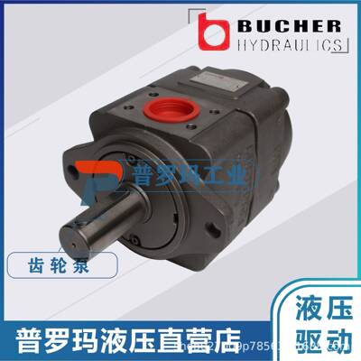 优势供应BUCHER齿轮泵QX61-160RQX61-200RQX61-250现货油泵