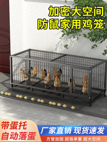 鸡笼子家用室外特大号养殖笼加密芦丁鸡笼养鸡家禽笼铁丝网鸭鹅笼
