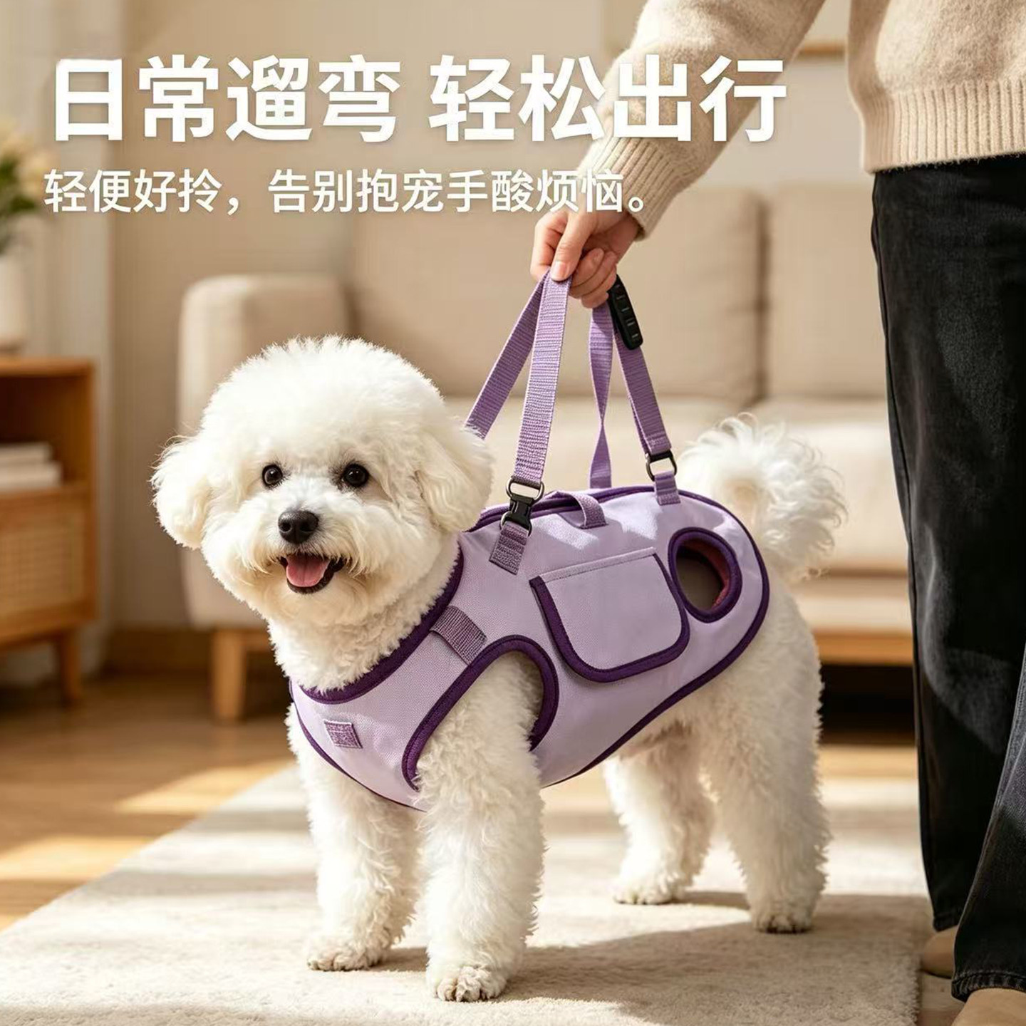 狗包外出便携轻便背包宠物比熊