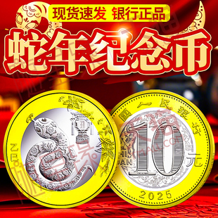 2025年蛇年纪念币 二轮十二生肖贺岁钱币 10元面值流通硬币