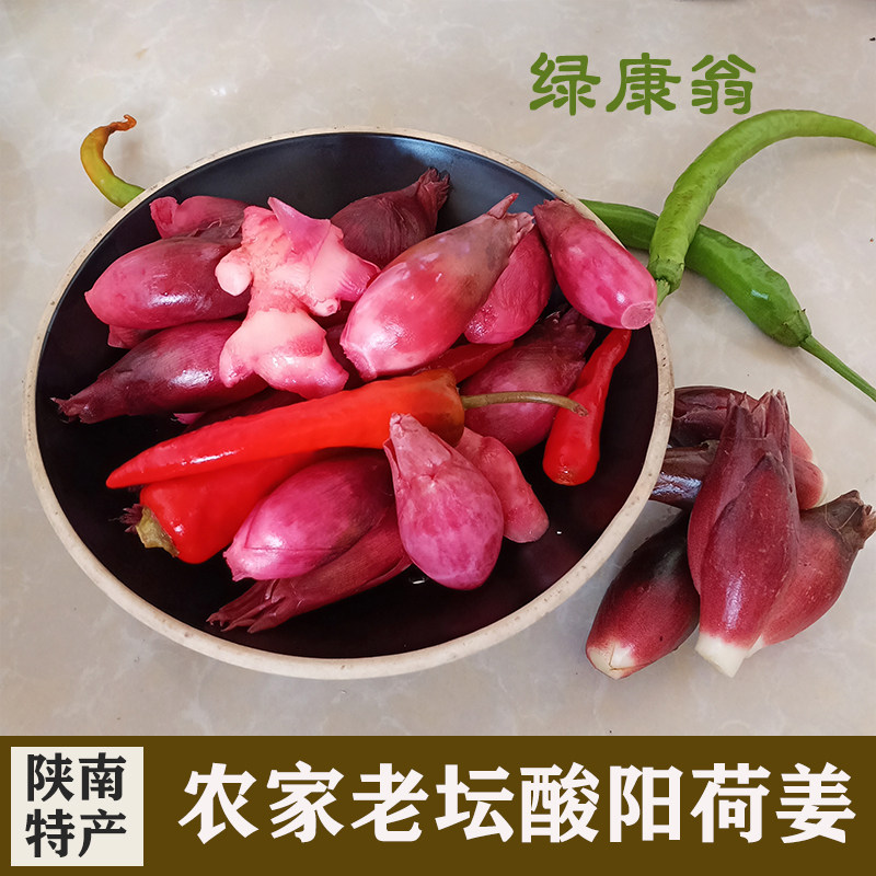 新鲜现货蔬菜农家老坛酸阳荷姜包腌制/榨菜/泡菜