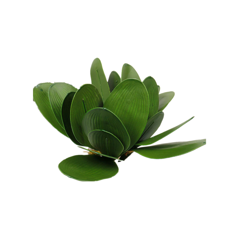简约蝴蝶兰叶子套装家居酒店摆放装饰假兰花仿真植物盆栽插花配叶