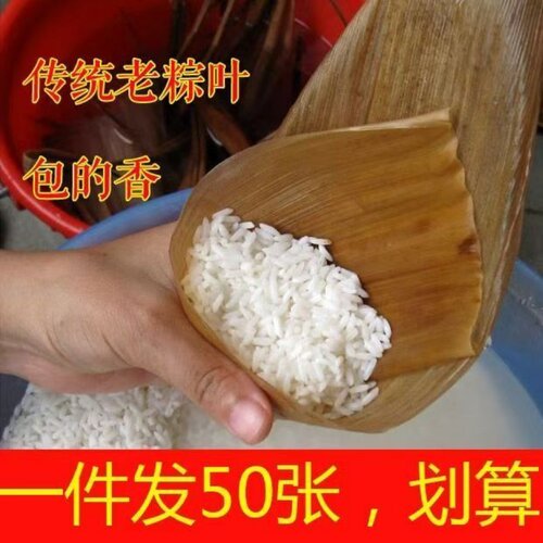 端午节粽子叶大号叶笋叶竹粽黄粑