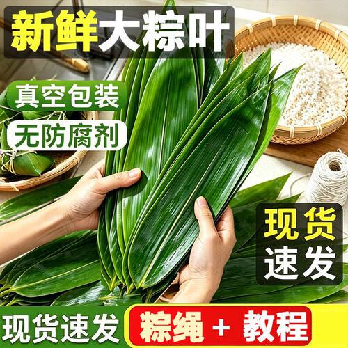 端午节粽子蒸馒头馍糕点甜品箬叶