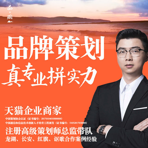 专业策划公司，注册高级策划师总监