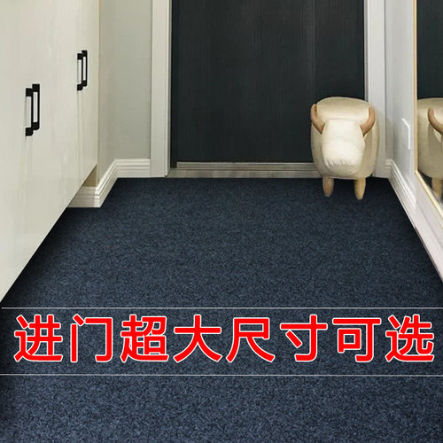 双鲤拉绒家用蹭土吸水大尺寸地垫