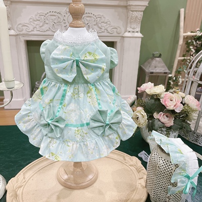 衣服公主裙子碎花绿马尔济斯