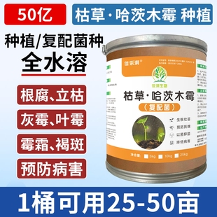 哈茨木霉菌25KG枯草芽孢杆菌微生物菌剂草莓白粉葡萄灰霉番茄防腐