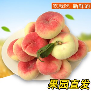 绿养道北京平谷大桃蟠桃5斤净重水蜜桃子扁桃新鲜水果