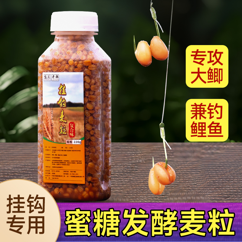 蜜糖发酵麦粒独特味型大鲫大鲤