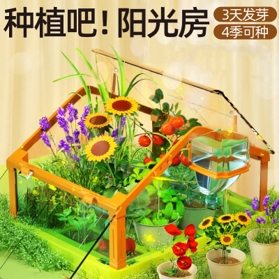 科达鸭儿童种植吧阳光房小学生科学实验手工diy制作材料玩具礼物