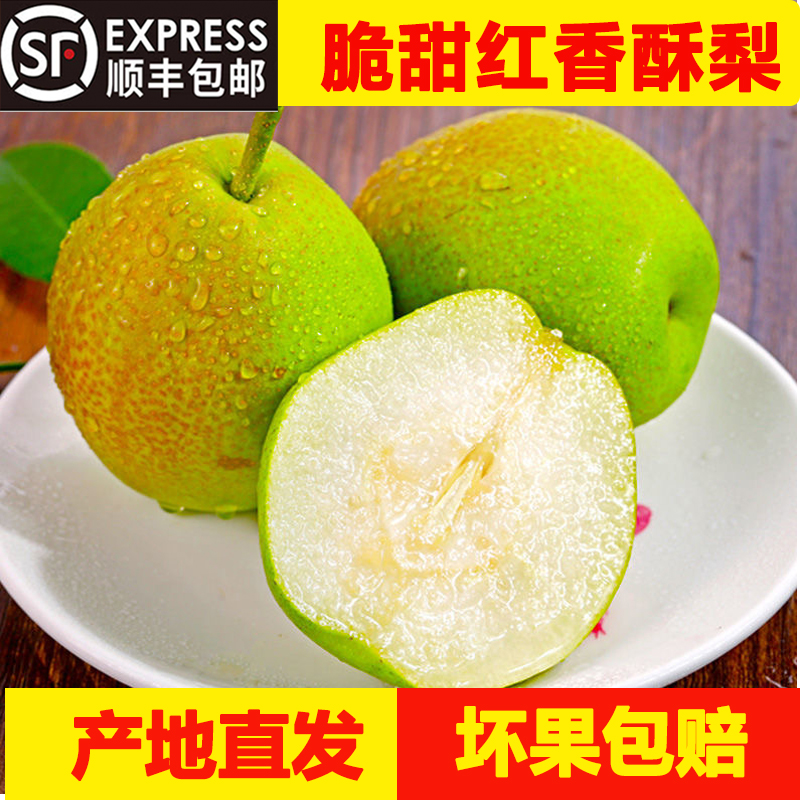 山西运城红香酥梨当季脆甜酥梨新鲜红香酥梨孕妇梨子顺丰包邮