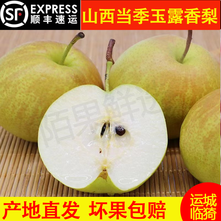 山西运城玉露香梨当季酥脆香梨孕妇脆甜梨整箱10斤顺丰包邮