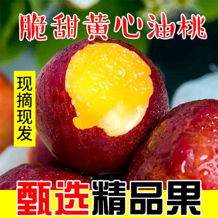 现货山西新鲜水果黄心大油桃脆甜油桃当季鲜油桃包邮孕妇水果