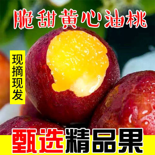 现货山西新鲜水果黄心大油桃脆甜油桃当季鲜油桃包邮孕妇水果