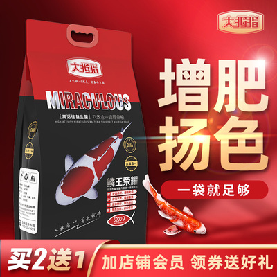 热销过千大拇指锦鲤鱼专用饲料