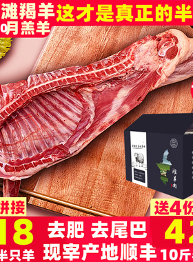 宁夏滩羊肉半只羊整只羊新鲜烧烤滩羊腿蝎子羊排非盐池新疆内蒙古