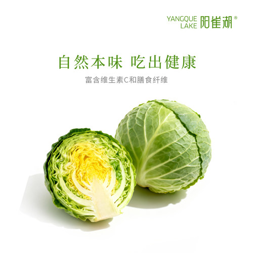 阳雀湖甘蓝新鲜现摘脆嫩多汁