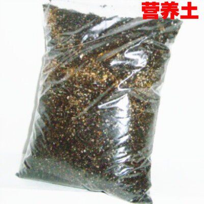 花卉苗木育苗 营养土 加入有机肥料营养土 免施肥 长效高能图片