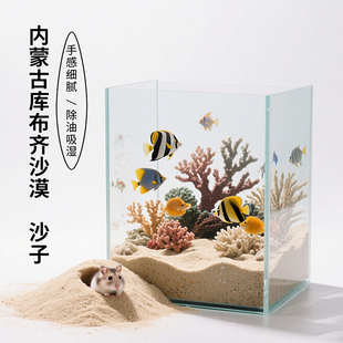 细沙沙漠沙子仓鼠浴沙猫砂陆龟爬虫沙高温消毒沙漠沙尿沙鸟类沙子