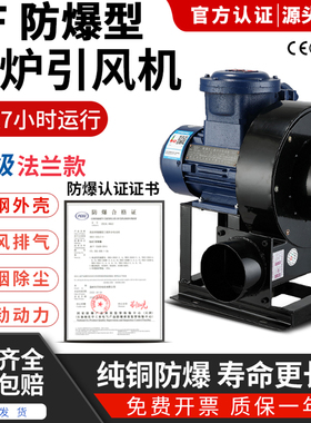 BT4防爆DF离心风机 380V多翼式工业鼓风机除尘散热低噪引风机排风