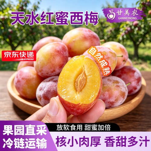甘美农天水红蜜西梅鲜甜多汁