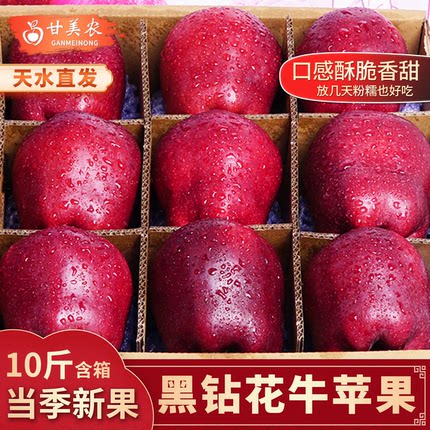 甘美农正宗天水花牛苹果应季蛇红果新鲜脆甜粉面孕妇宝宝果礼盒