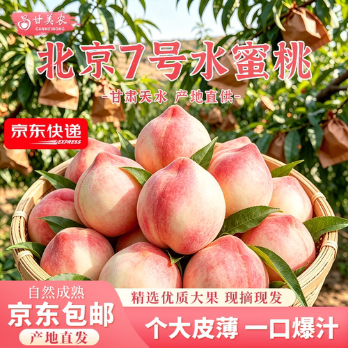 甘美农北京7号秦安蜜桃