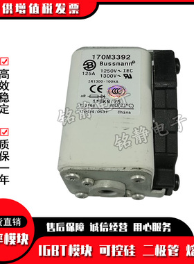 170M3558 170M3559 170M3560 170M3561 170M3562 170M3563熔断器