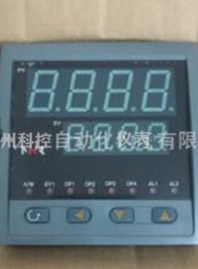 NHR-5310B-14/X-0/X/2/X/1P-A NHR-5310F-14/X-0/X/2/X/PID控制仪