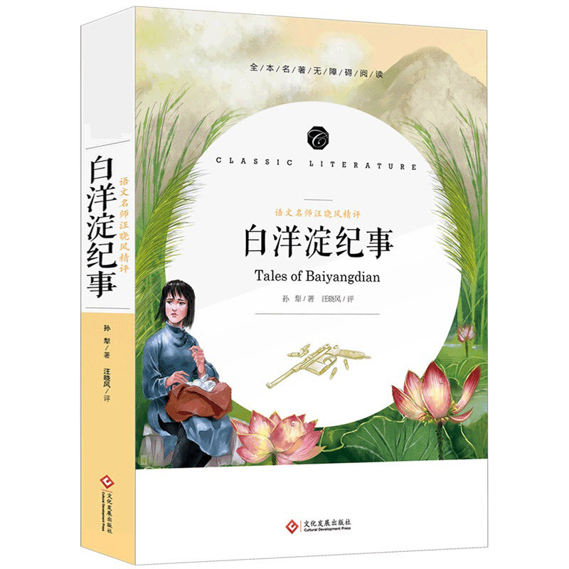 白洋淀纪事 七年级原著正版无删减 孙犁著 初中生七年级上册bi读课外书目 初一课外阅读书籍 湘行散记镜花缘军事小说白羊定纪记事