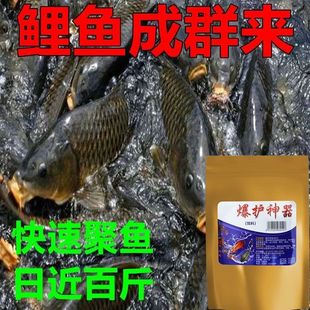 邓刚推荐一包搞定】单开饵料鲫鲤草鳊鱼饵鲢鳙野钓四季通用