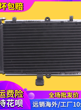 适用本田配件CBR250 19 22期 MC19MC22 水箱总成水冷器发动机散热