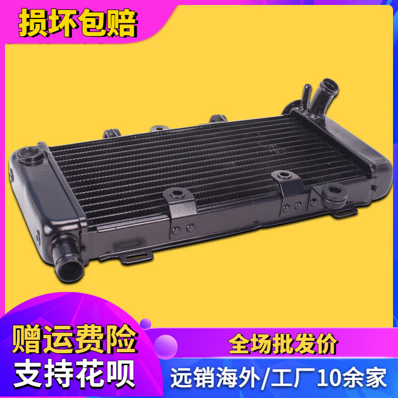 适用本田配件蓝宝石 龙犬 马格纳250 水箱总成水冷器发动机散热器