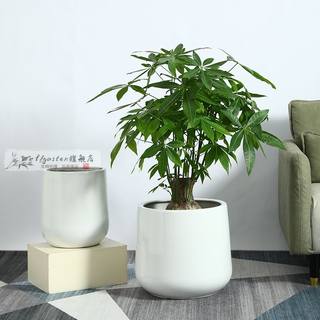 陶瓷花盆白色花瓶北欧简约客厅落地发财树金钱树龟背竹专用大口径