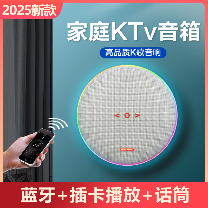 圆形壁挂式蓝牙店铺音箱挂墙家用K歌唱歌投影仪外接话筒电视音响