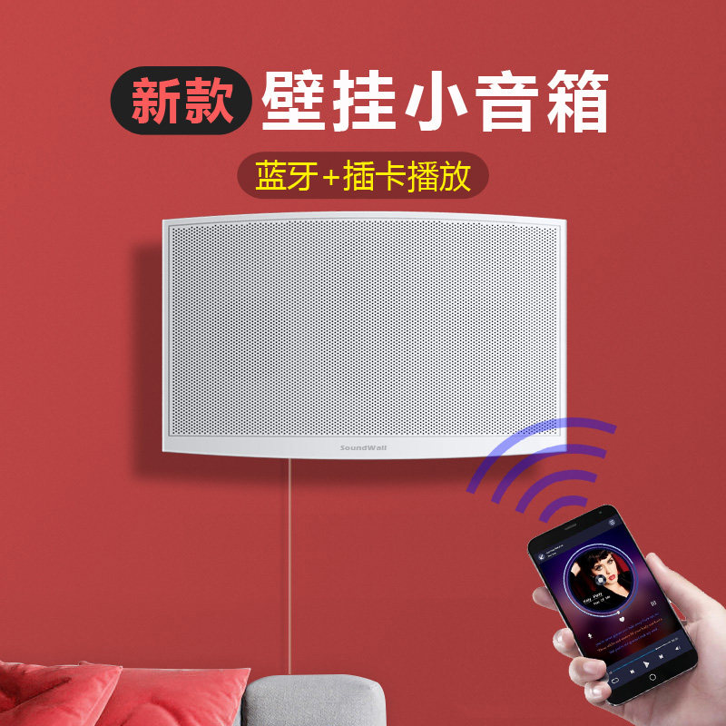 壁挂蓝牙无线音响家用厕所美容院音箱商用服装店店面挂壁插卡专用