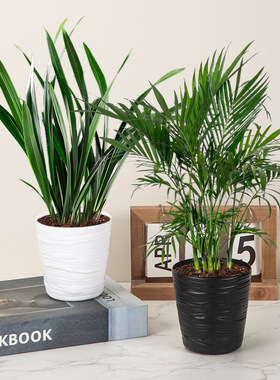 供应仿旧树皮纹绿色植物仿花盆塑料刷漆植绒花盆摆件