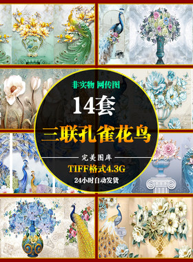 三联二加一孔雀花鸟床头沙发北欧组合装饰画高清图片图库设计素材