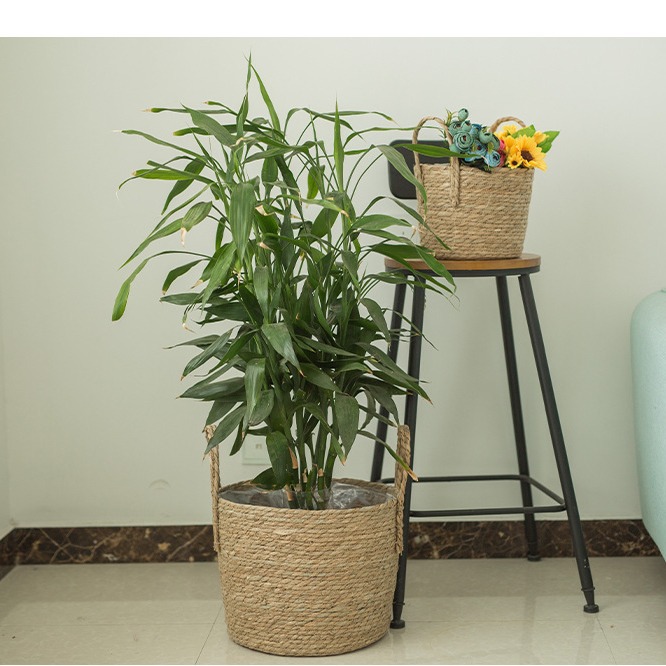 藤编收纳筐蒲草绳编织脏衣篮置物篮杂物玩具收纳框现货储物