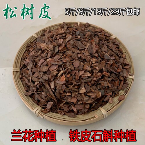 松树皮白石多肉月季绿萝专用