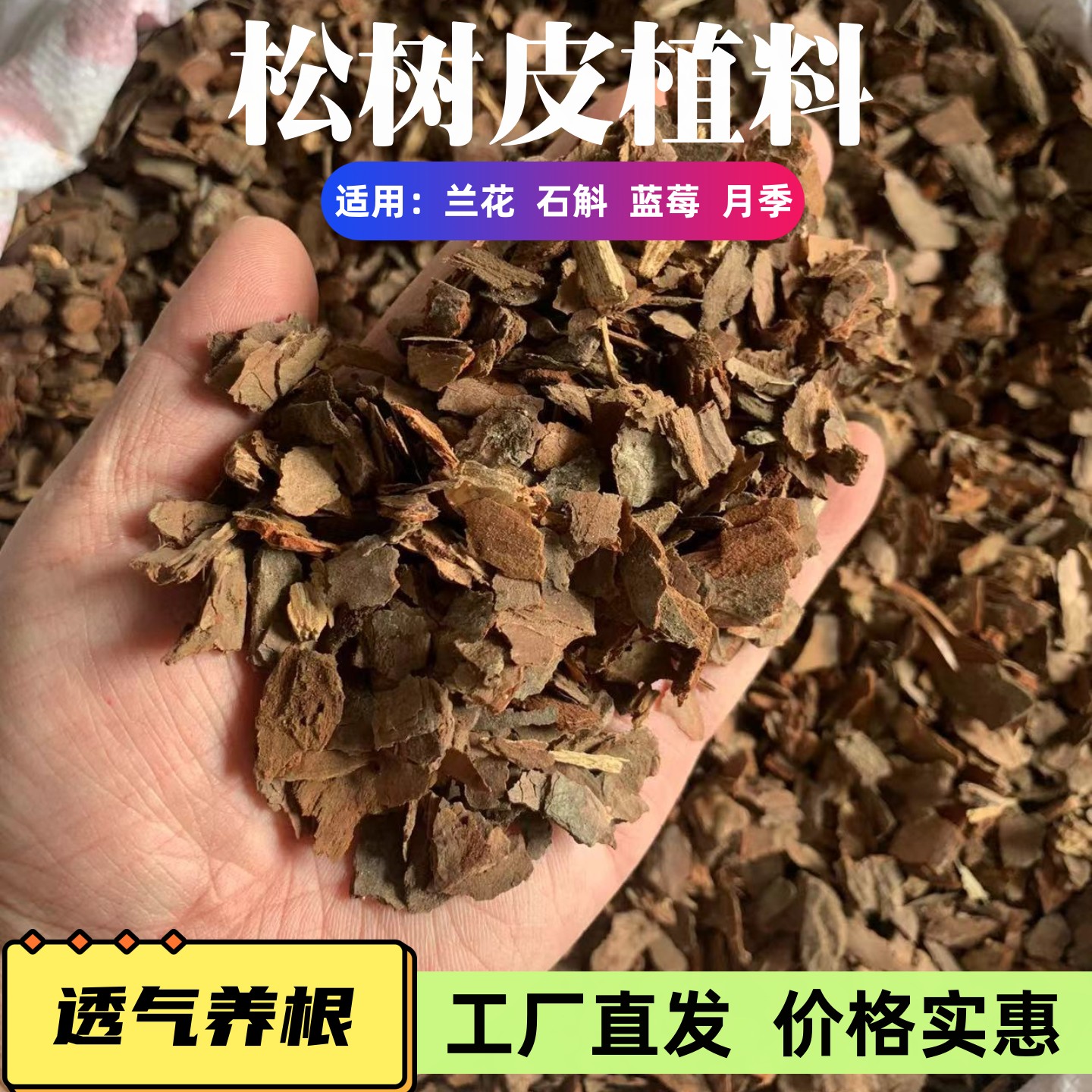 松树皮发酵松鳞兰花专用植料